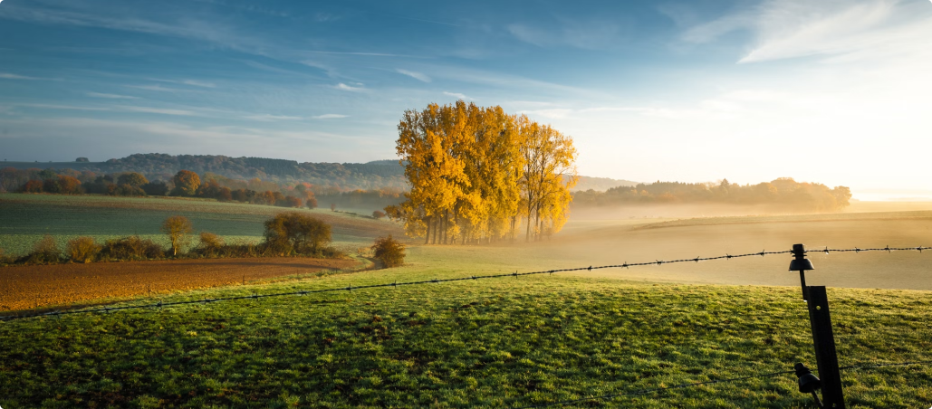 Co warto wiedzieć przed przeprowadzeniem się do Belgii? Przewodnik Skafander Travel - image 2